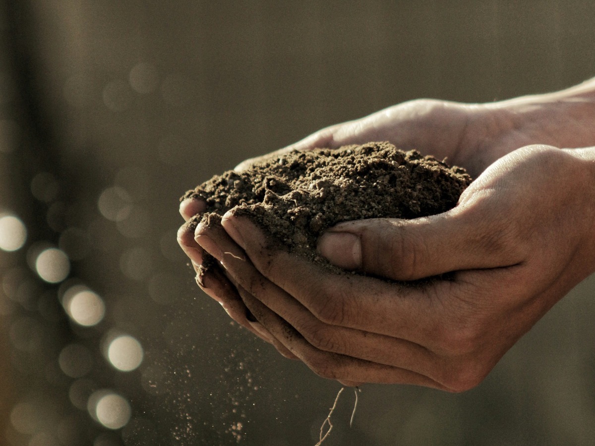 Cupped hands holding loose, crumbling topsoil